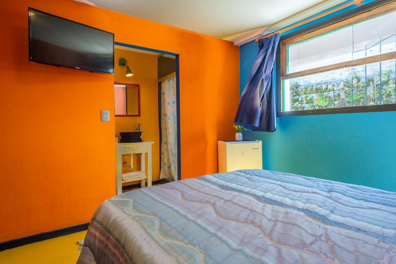 Del Barcito Hostel And Suites Пунта дел Есте Екстериор снимка